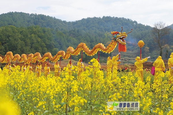 我县首届油菜花节开幕
