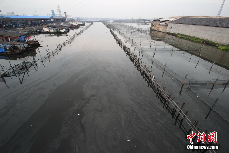 绍兴市区河道油污漂荡