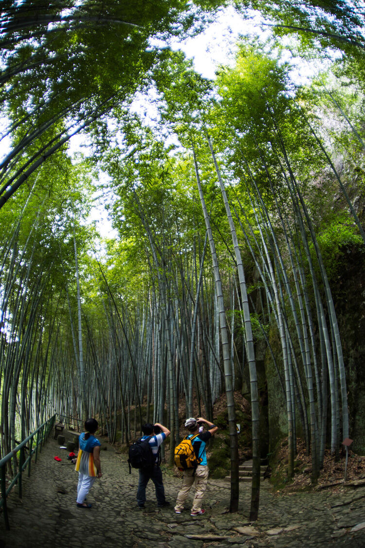 黄岩富山大裂谷怎么样图片