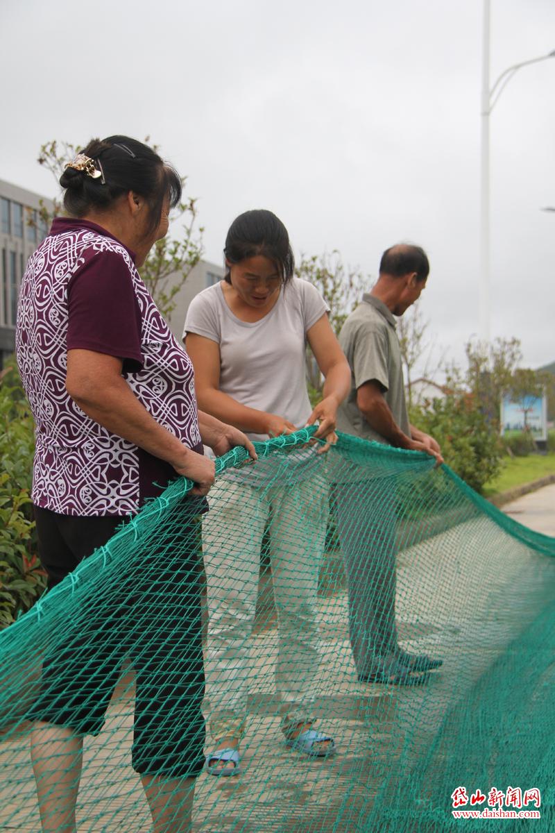 帆张网船开捕在即衢山制网忙