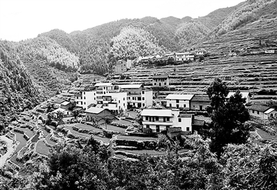 浙江开化建设生态乡村--开化新闻网