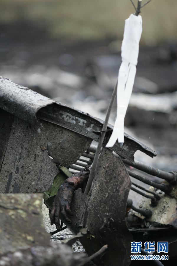 探寻马航mh17空难真相