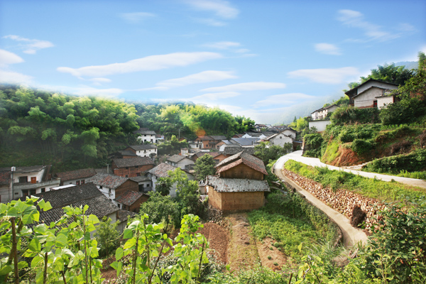 治岭头村争当六边三化三美排头兵