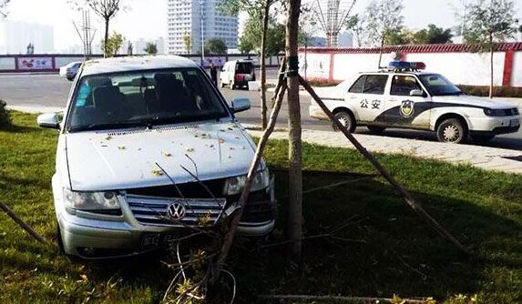 自己開車撞樹上什麼險 自己開車撞樹上第三者責任險