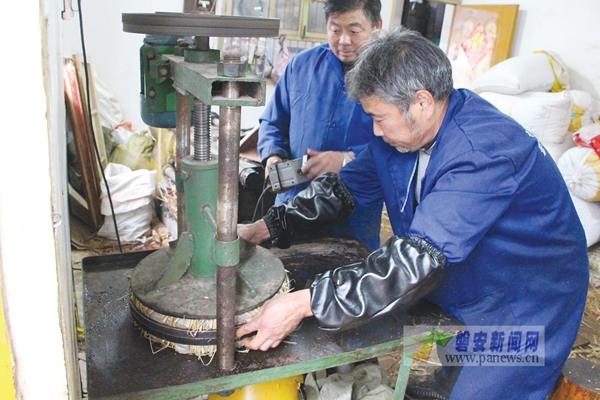 鲜榨山茶油迎来旺季