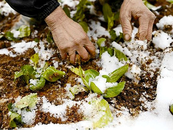 罕见强寒潮来袭金华将现大到暴雪