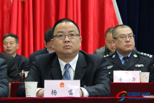 县委副书记杨雷出席会议