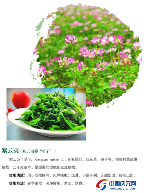 家乡的味道 庆元山野菜