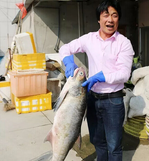 三门渔民捕获20公斤重的章跳鱼