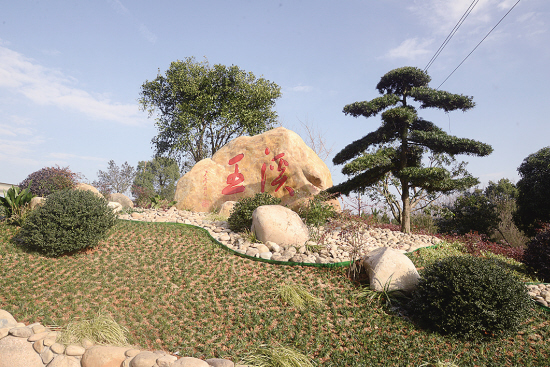 岭下镇王溪村村口景观