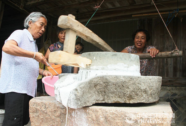 大妈大婶们正在用石磨磨米浆.