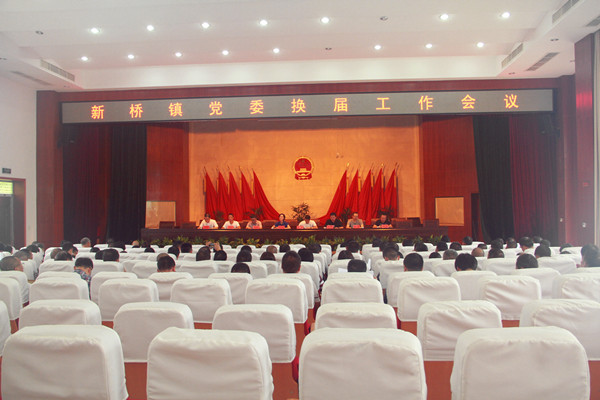 新桥镇召开党委换届工作会议