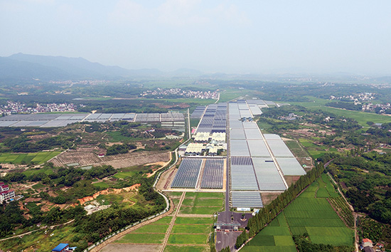 "飞翼"航拍"飞翼生态"