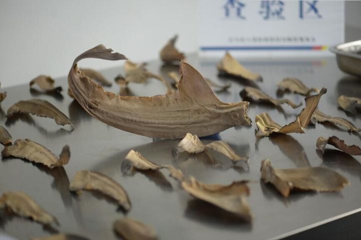 注意!鱼翅不能随便寄 义乌有人这么干被扣了