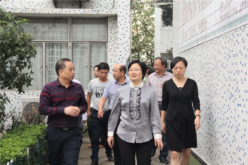 陈玲芳市长前来黄泽镇校视察