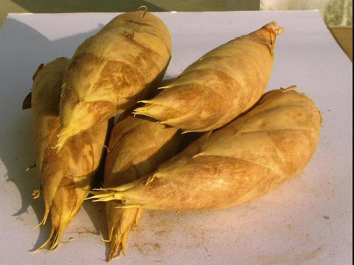 金华高速发生车祸冬笋洒一地大家一起帮忙捡笋