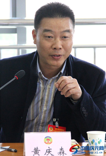 履职尽责 建言献策-中国庆元网
