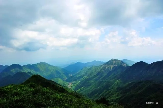 加快創建常山白菊花4a級景區