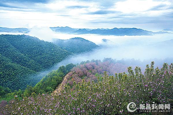 新昌小将景点,新昌小将镇,新昌小将旅游风景_大山谷图库