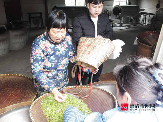 汪祥珍:莫干黄芽手工炒制第一人-德清新闻网