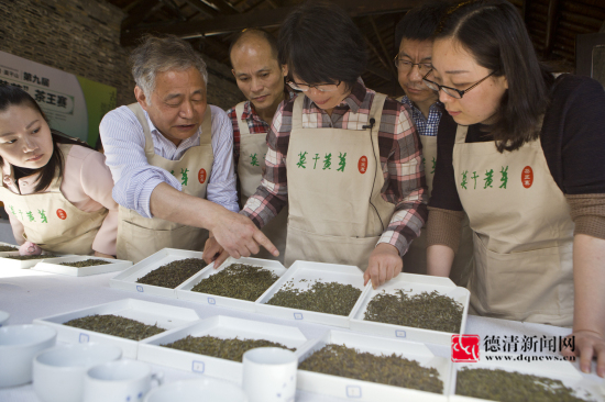 第九届莫干黄芽茶王赛 茶香四溢 乐见传承-德清新闻网