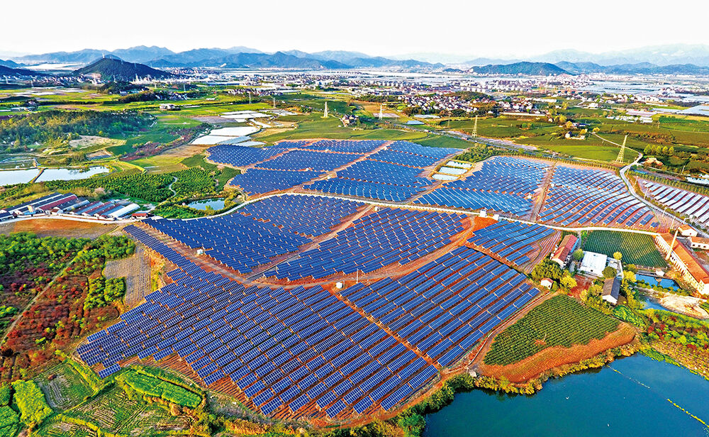 500多亩茶光互补 清洁发电