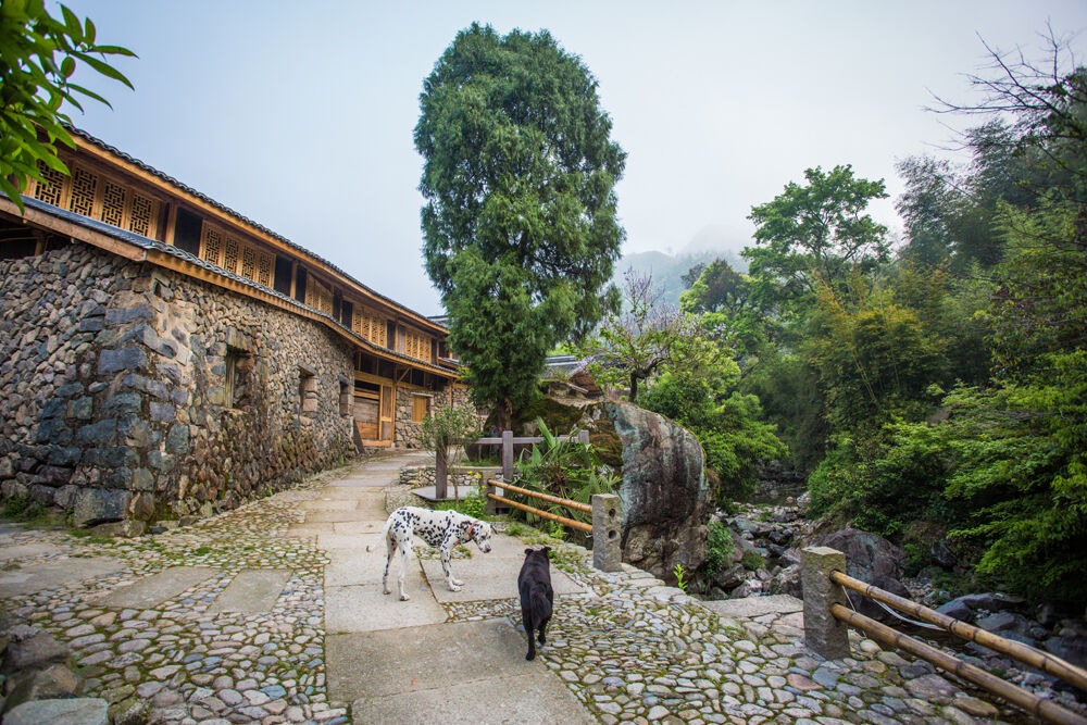 乌岩头村-黄岩新闻网