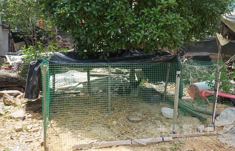 "村里统一购置了2000米护网,专门请人为养鸡养鸭户定制围栏.