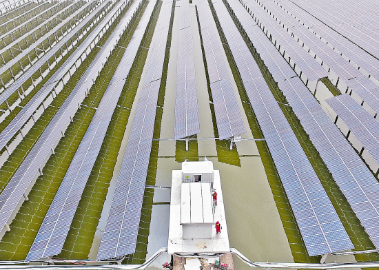渔光互补项目实现并网发电