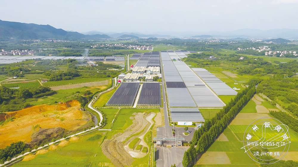 飞翼农业休闲小镇建设项目有序推进