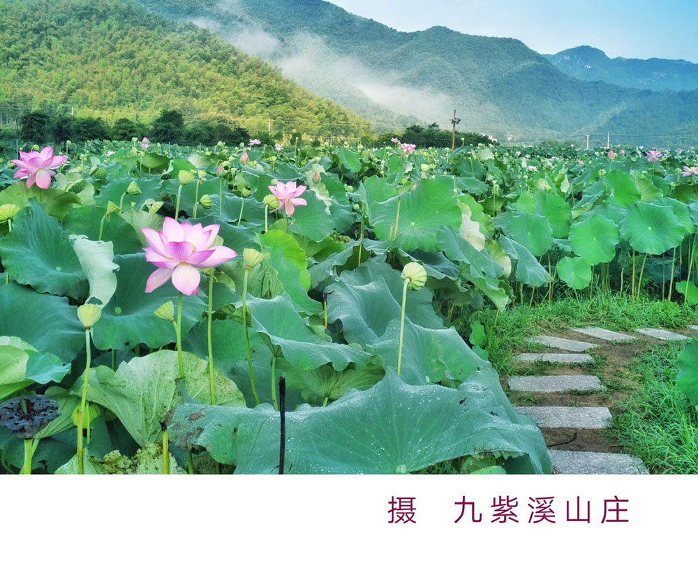 九紫溪一个世外桃源