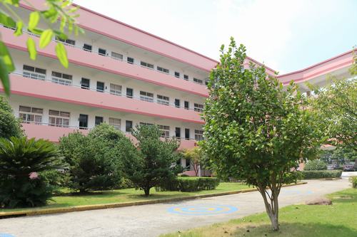 屠甸镇小暑期加班又加点美丽校园展新颜