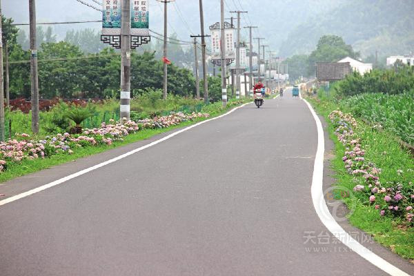 未來文農旅共進助推龍溪裂變式發展