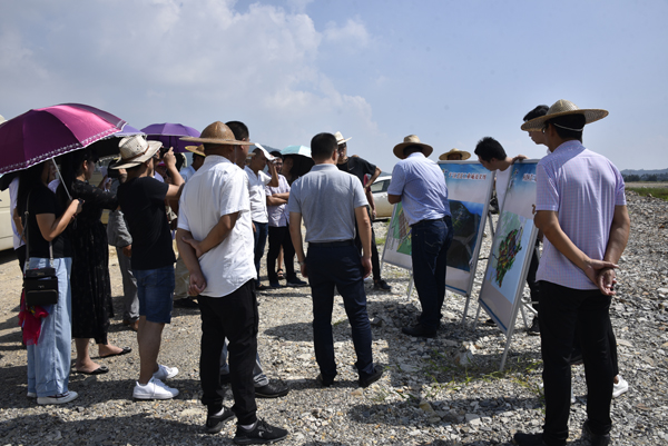 南京海关陈海鸣图片