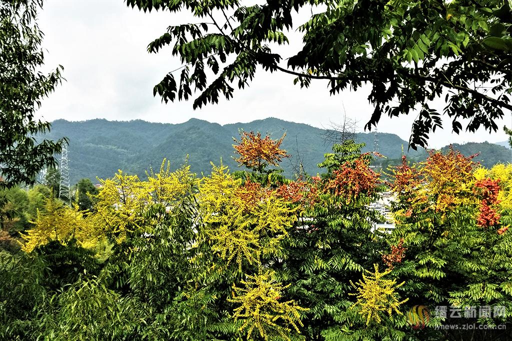 峦树,光芒之,演唱_大山谷图库