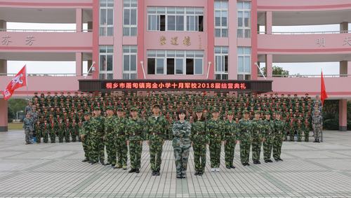 屠甸镇小:结营汇报展英姿 颁发奖章表先进