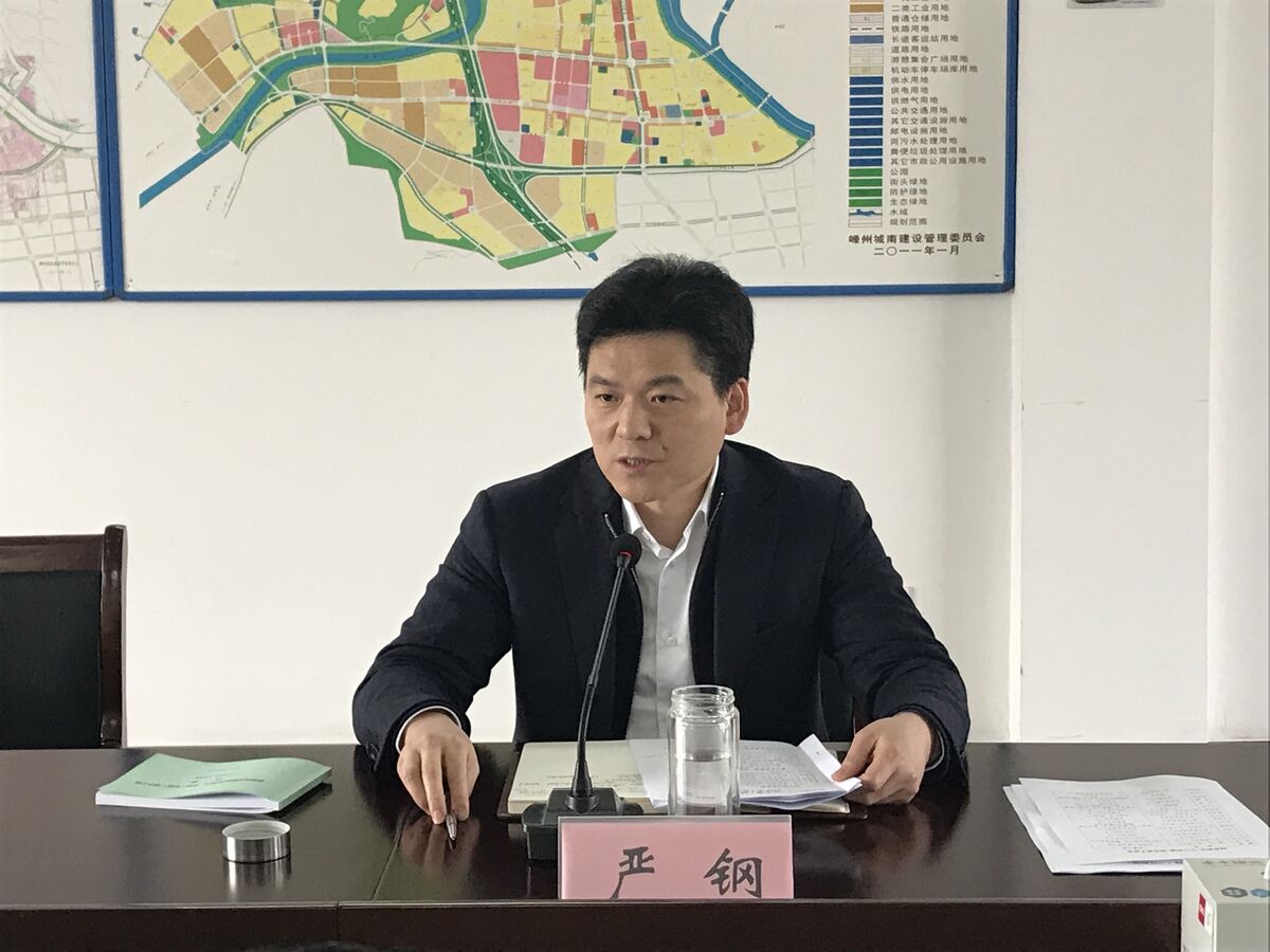 嵊州市代理市长严钢调研城南新区