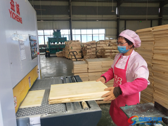 竹皮板生产图片