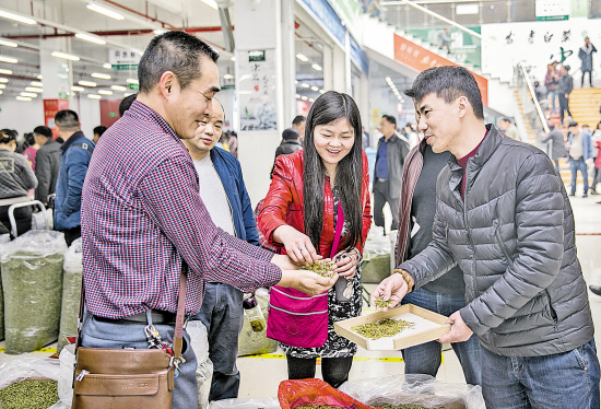 安吉白茶引来茶商云集