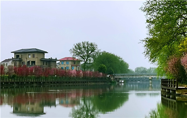 浙江在线-龙游新闻网4月9日讯(浙江在线记者 罗意)4月初,龙游县湖镇镇