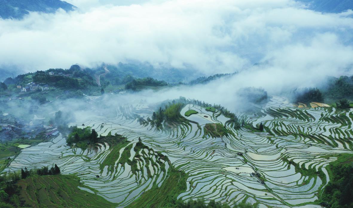 云和梯田美如画