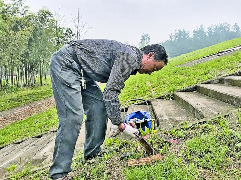 钱云良在检查白蚁情况