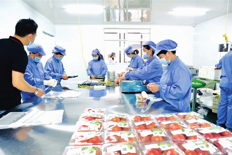 农产品"供销e城"运营中心包装车间