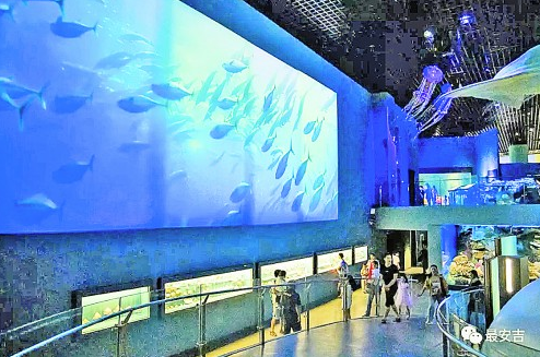 浙江省自然博物院安吉馆之海洋馆全新亮相