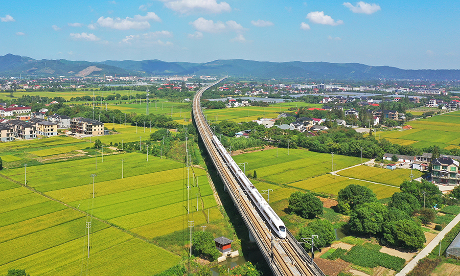 9月23日上午,夹浦镇喜鹊村,一辆动车快速驶过稻田.