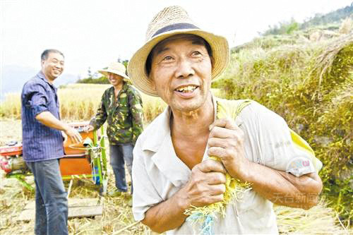 這個秋天,泳溪農民收穫了幸福-天台新聞網