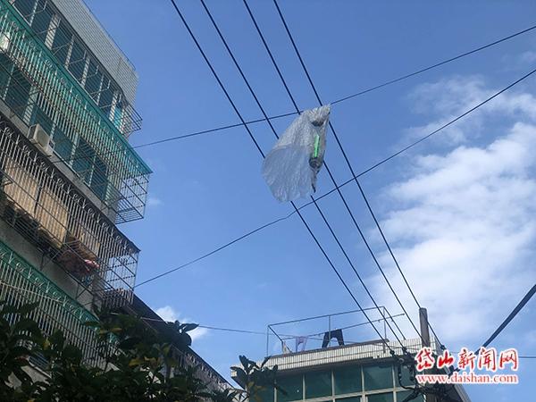 11月6日,记者看到在安澜路后街,有住在楼上的居民为图省事,随手将垃圾