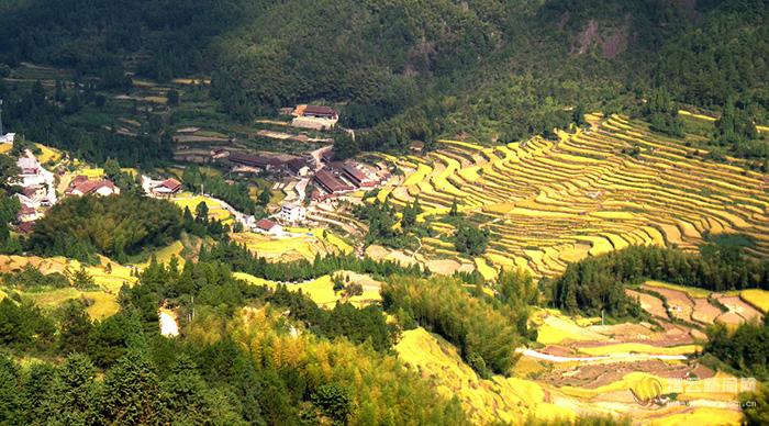 "景宁县郑坑乡有高山梯田,规模宏大,气势磅礴,曲线优美,秀丽雅致,不逊