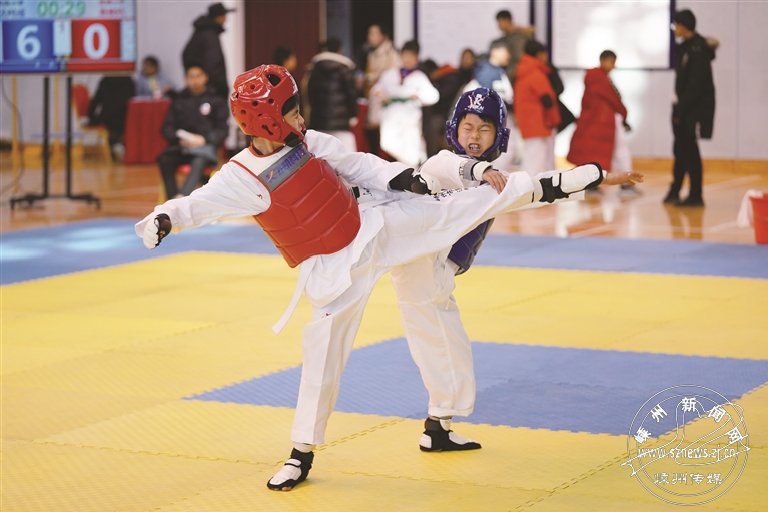 我市举行首届小学生跆拳道比赛