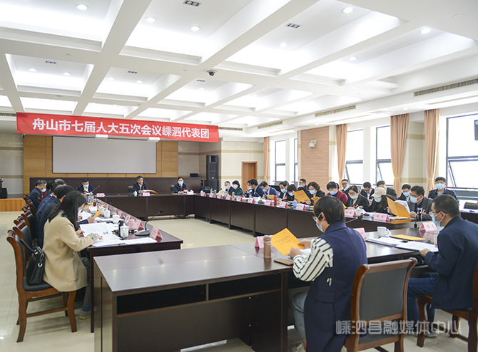 我县市人大代表认真审议 为舟山高质量发展出谋划策